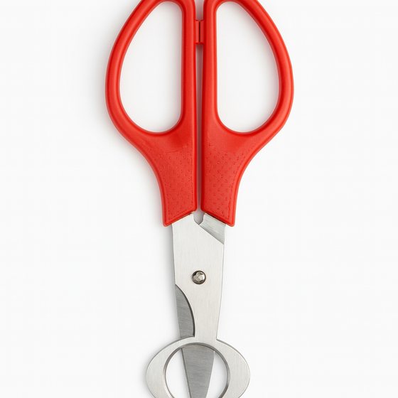 Quail Egg Scissors